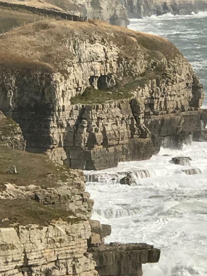 The Wing -Near To The Beaches And Bournemouth University エクステリア 写真